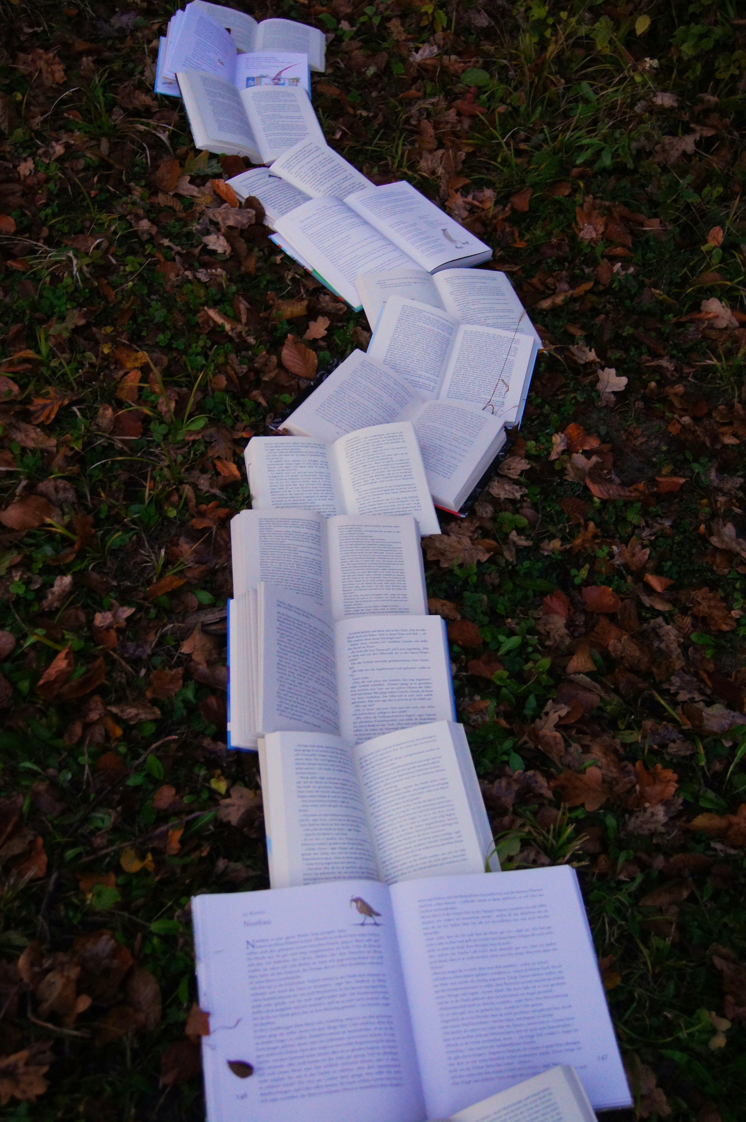 Stack of books on the ground in a forest